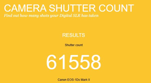Canon EOS‑1Ds Mark II DSLR – Full Frame 16.7MP – VG – Battery, Coupler, Manual