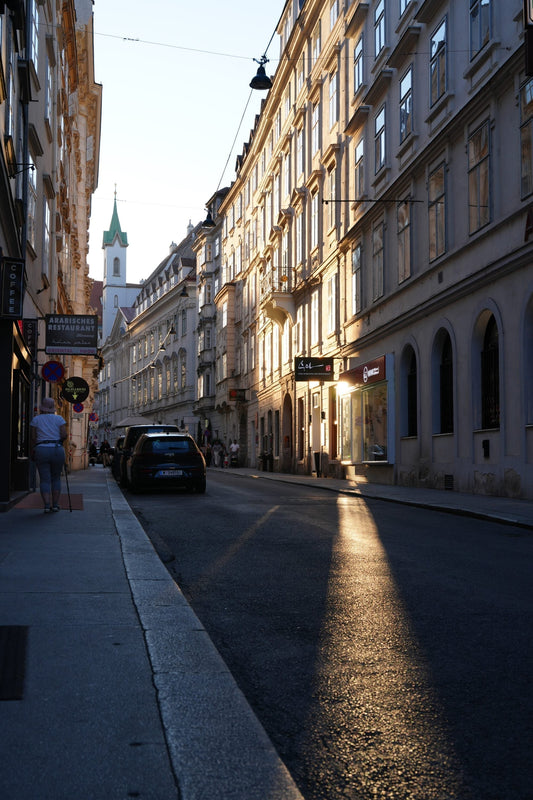 Vienna with MS: Accessible Travel & Photography Part 1