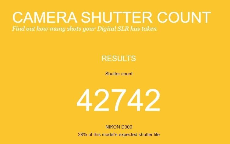 Boxed Nikon D300 12.3MP DSLR - Shutter Count 42742 - Very Nice