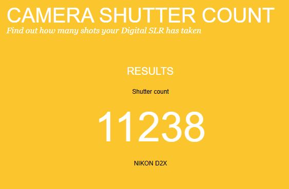 Nikon D2X 12.4MP Professional DSLR & Battery - Low S/C 11238 - Excellent