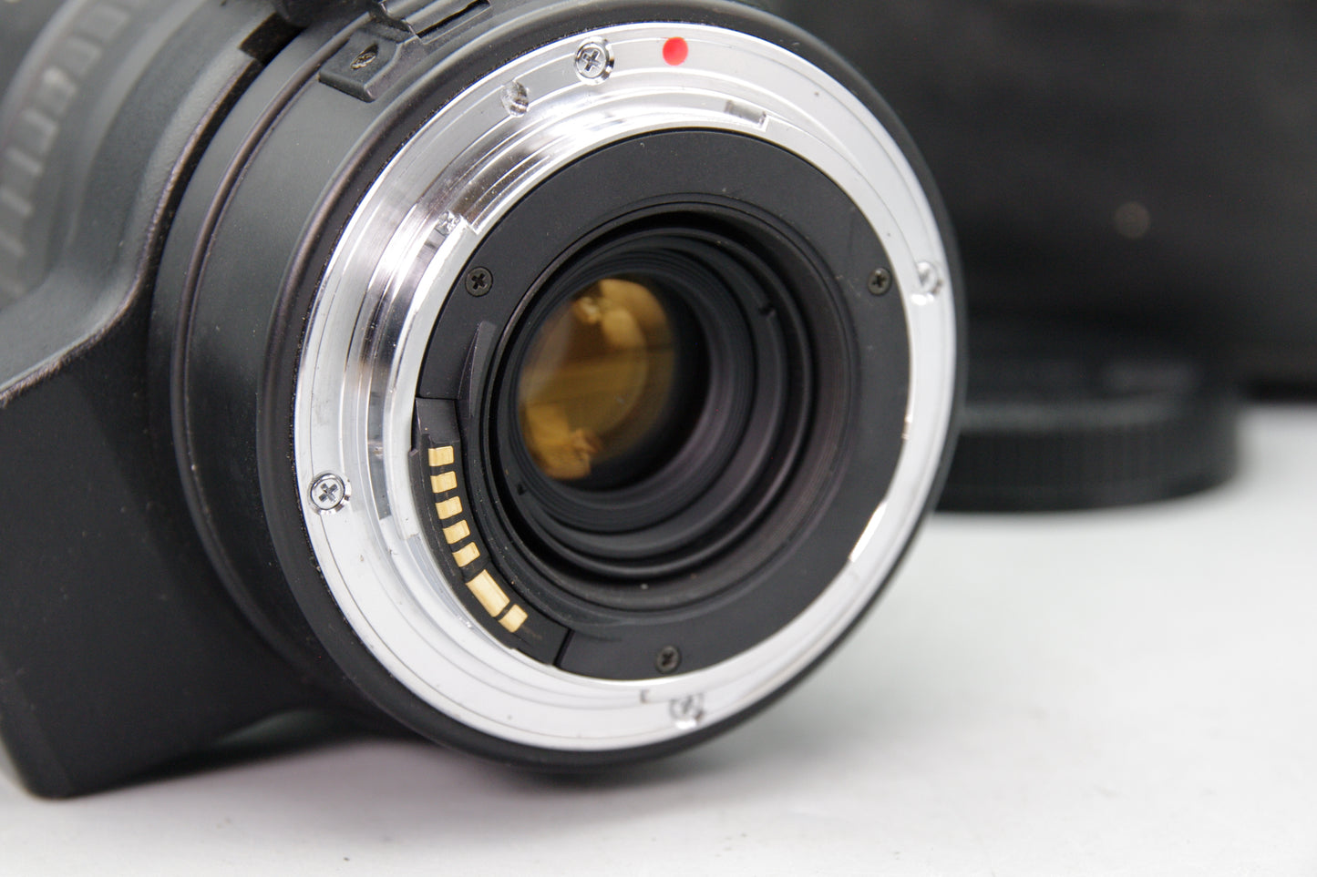 Sigma 170–500mm f/5–6.3 APO Lens – Canon EF – Good – Fungus – Sample Images