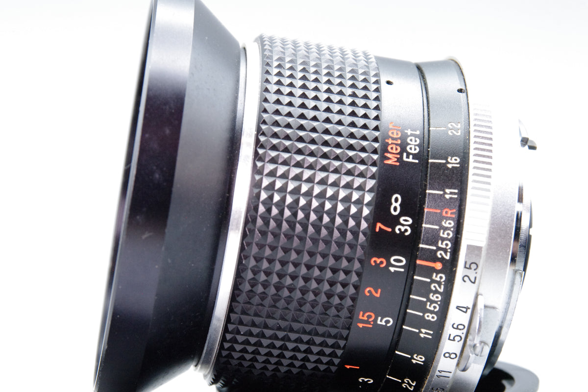 Panagor Auto Wide Angle 28mm f2.5 Lens Nikon F Mount Non-AI Caps Internal Fungus