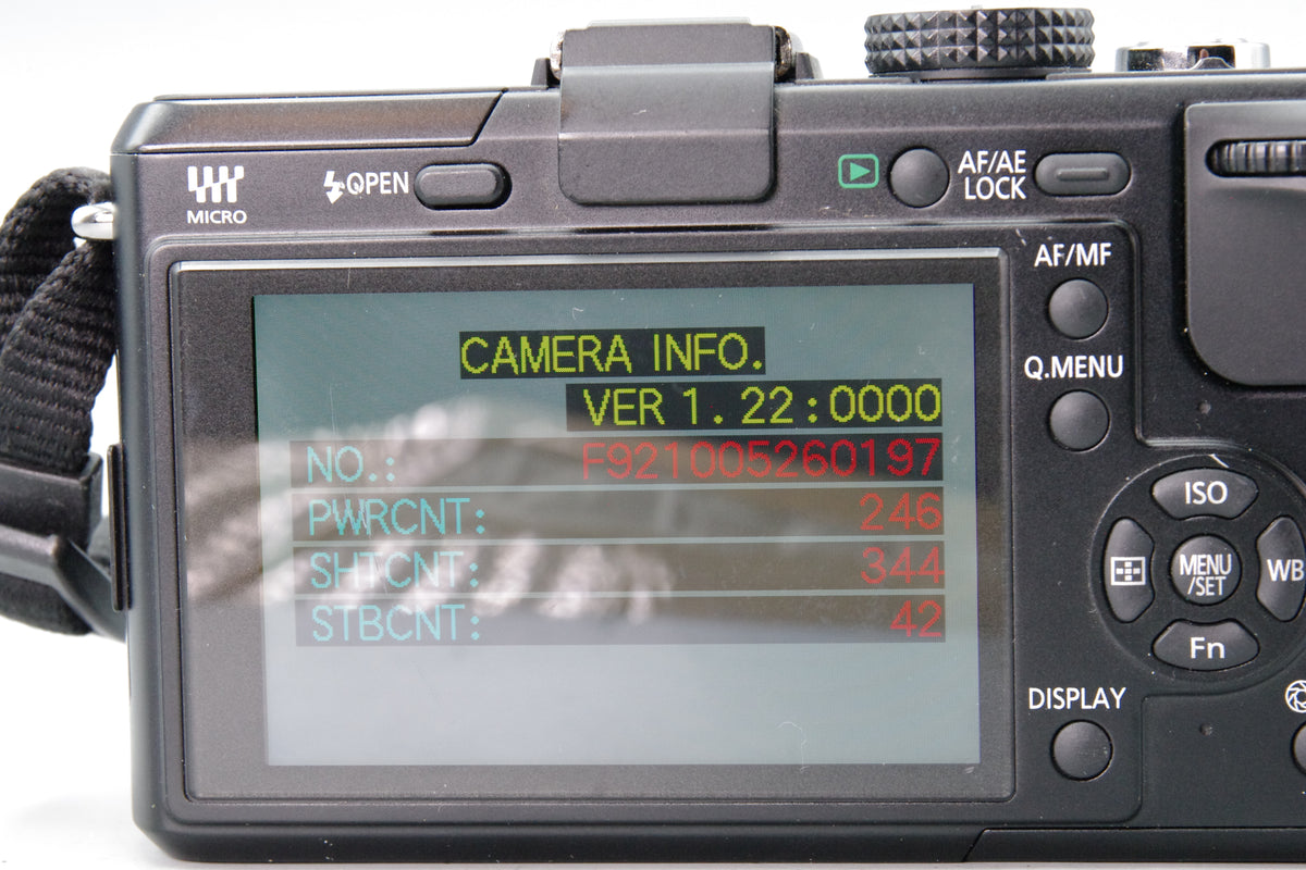 Panasonic Lumix DMC-GF1 12.1MP MFT Mirrorless Camera - S/C 344